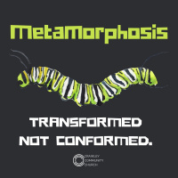 Metamorphosis - the Love episode