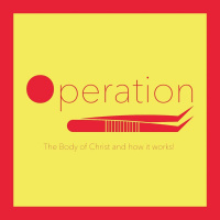 Operation - He is the Head - Steve Alliston - 5th September 2021