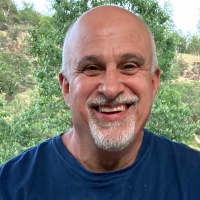 Bruce Schulman, Reviews in American History