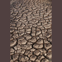 Famine in the Bible and in Life