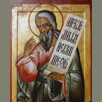 The Book of the Twelve: Amos