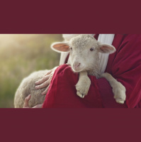 Bummer Lambs- Easter 2022