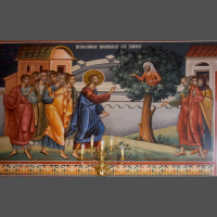 Zacchaeus, a Wee Little Man, and a Tree Climb