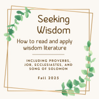 Seeking Wisdom: Defining Wisdom