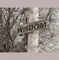 James Pt 6: Wisdom and a Wrong Target