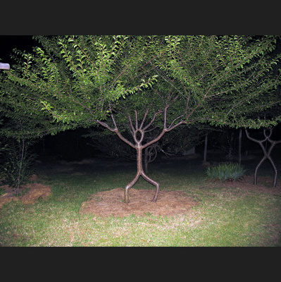 Jordan Rimmer Sermons