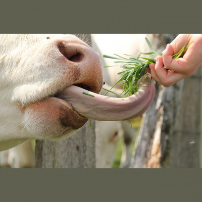 Jordan Rimmer Sermons