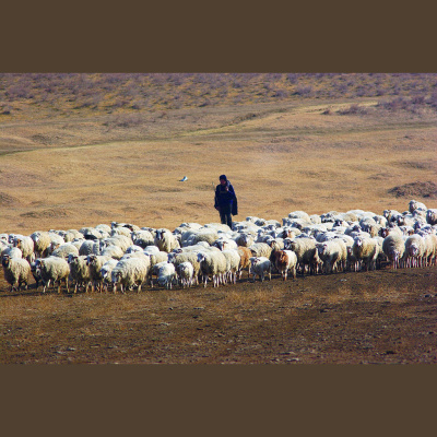 Jordan Rimmer Sermons