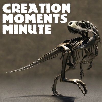Creation Moments Minute