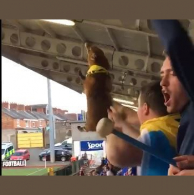 Jd Welsh Premier League News