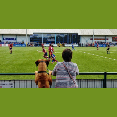 Jd Welsh Premier League News