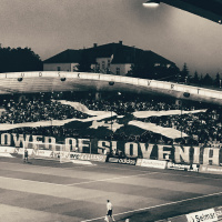 Ofsajd 146: Rože  zgodovina