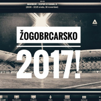 Zicer #2017