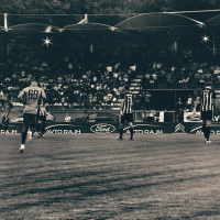 Ofsajd #260: Evropski Vedeži