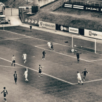 Ofsajd #286: Procenti