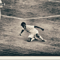 Ofsajd #159: (Ne)zalita trava