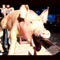 Pig on a spit for New Year