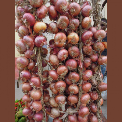 Tanja Buwaldas Posts