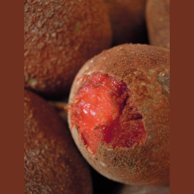 Tanja Buwaldas Posts