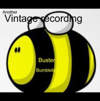 A narrated story for children – The Tale of Buster Bumblebee, Part 8 – a vintage recording