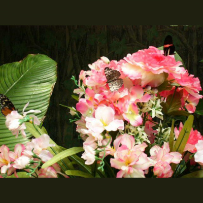 Stefania Lintonbons posts