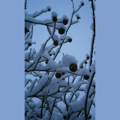 Stefania Lintonbons posts