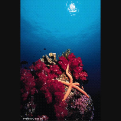 Stefania Lintonbons posts