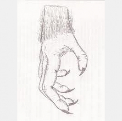 Stefania Lintonbons posts