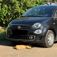 PKP #452 - Ich hab nen kleinen