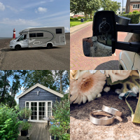 PKP #450 - Ring am Finger