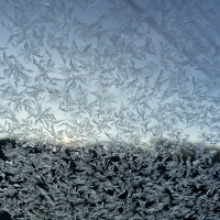 PKP #443 - Es flockt