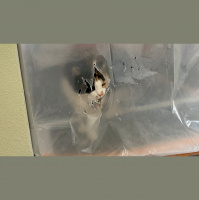 PKP #424 - Renoviertes Wohnzimmer