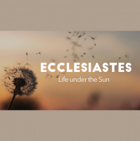 The Bottom Line - Audio