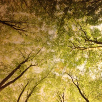 Konsten att jonglera!