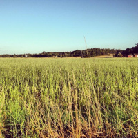 En stor tanke om att ingenting kostar egentligen pengar!