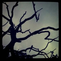 Konsten att låta barn nå sina drömmar.