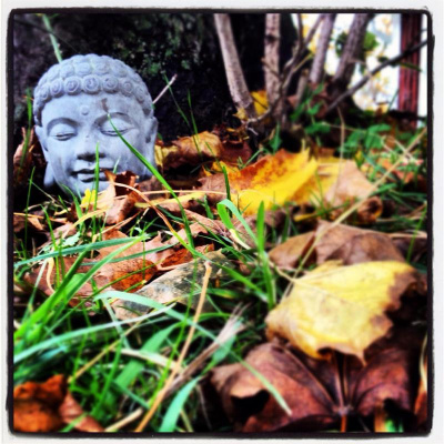 Micke Gunnarssons Posts