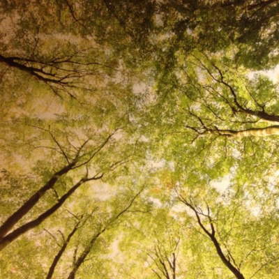 Micke Gunnarssons Posts