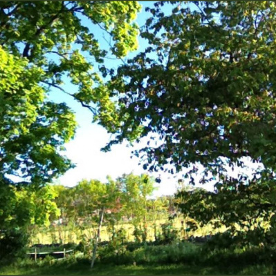 Micke Gunnarssons Posts