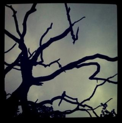 Micke Gunnarssons Posts