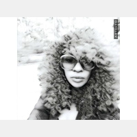 PART 2 THE BELL CURVE TODAY ON THE DON NICOLEONE SHOW!