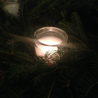 The Coming Of Christs Kingdom