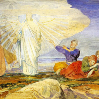 Falling In Order To Rise