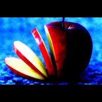 The History of Diets: does my bum look big in this?