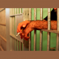 Justin Smith speaks with recently released prisoner Martin Garnett, whos spent 22 years in some of the worlds worst prisons.