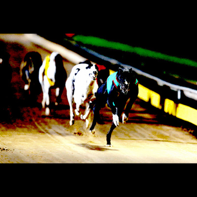 Clinton Maynard On 2ue