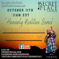 Heavenly Realities Seeing the Invisable