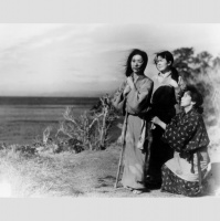 #177 - On DVD/Blu-ray THE WASP WOMAN, NAKED CITY, PINK: ON FIRE and More!