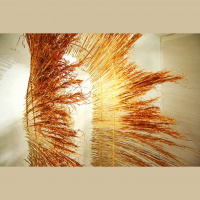 MARK HAROLD PONDER, BOX 13