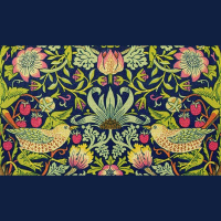 BILL CONGER  COLIN NESBIT, THE STRAWBERRY THIEF